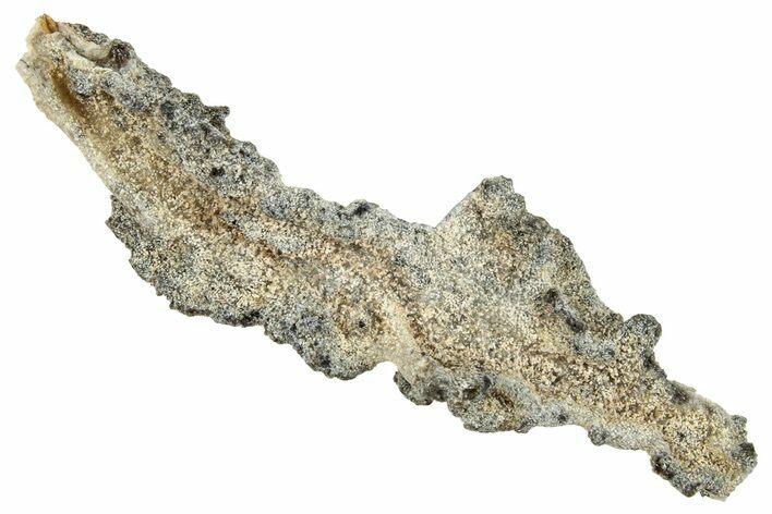 Fulgurite - Petrified Lightning #260463